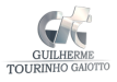 Logo GTG Web